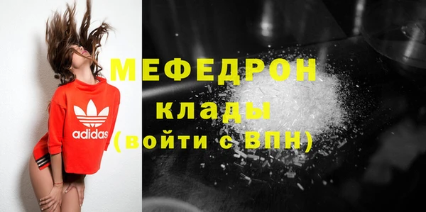 амф Гусь-Хрустальный