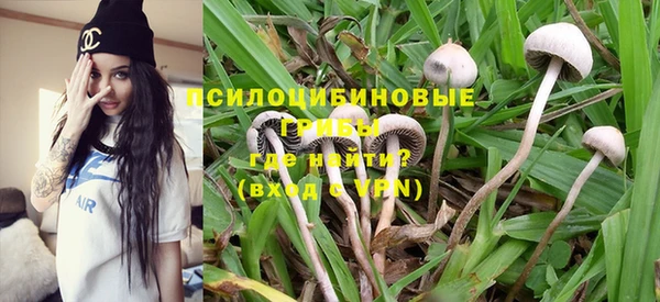 амф Гусь-Хрустальный