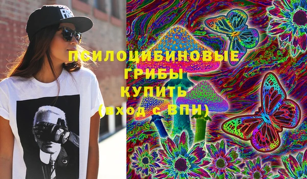 амф Гусь-Хрустальный
