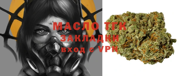 амф Гусь-Хрустальный