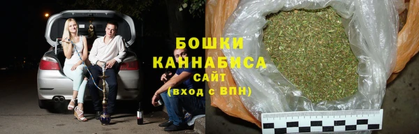PSILOCYBIN Фурманов